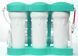 Фільтр зворотного осмосу Ecosoft P&rsquo;URE AQUACALCIUM Mint (MO675PUREMACECO)