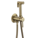 Змішувач для гігієнічного душу MIXXUS PREMIUM HANS 002-A INNER BRUSHED GOLD Матове золото (MI6922)